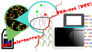 DNAmicroarrayとRNA-seqの比較